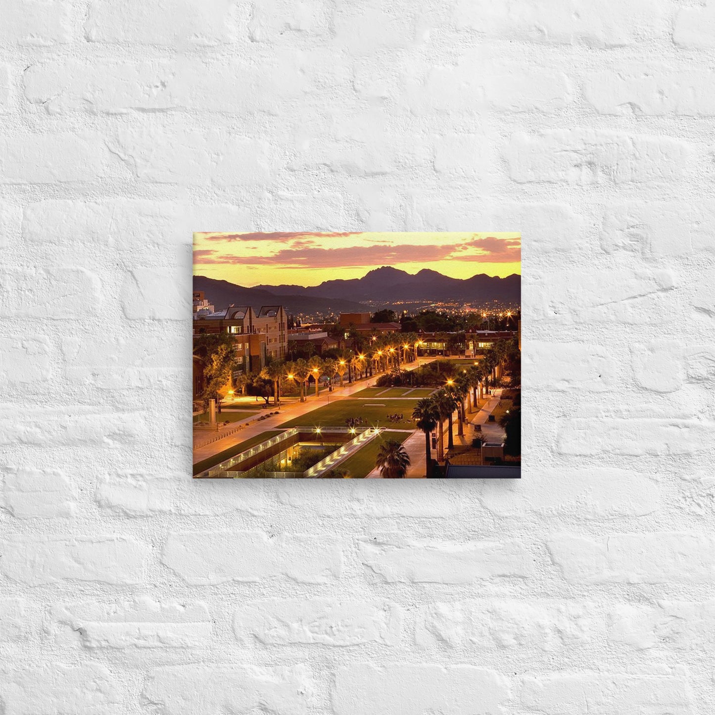 Arizona Wildcats - University of Arizona Sunset Campus Canvas