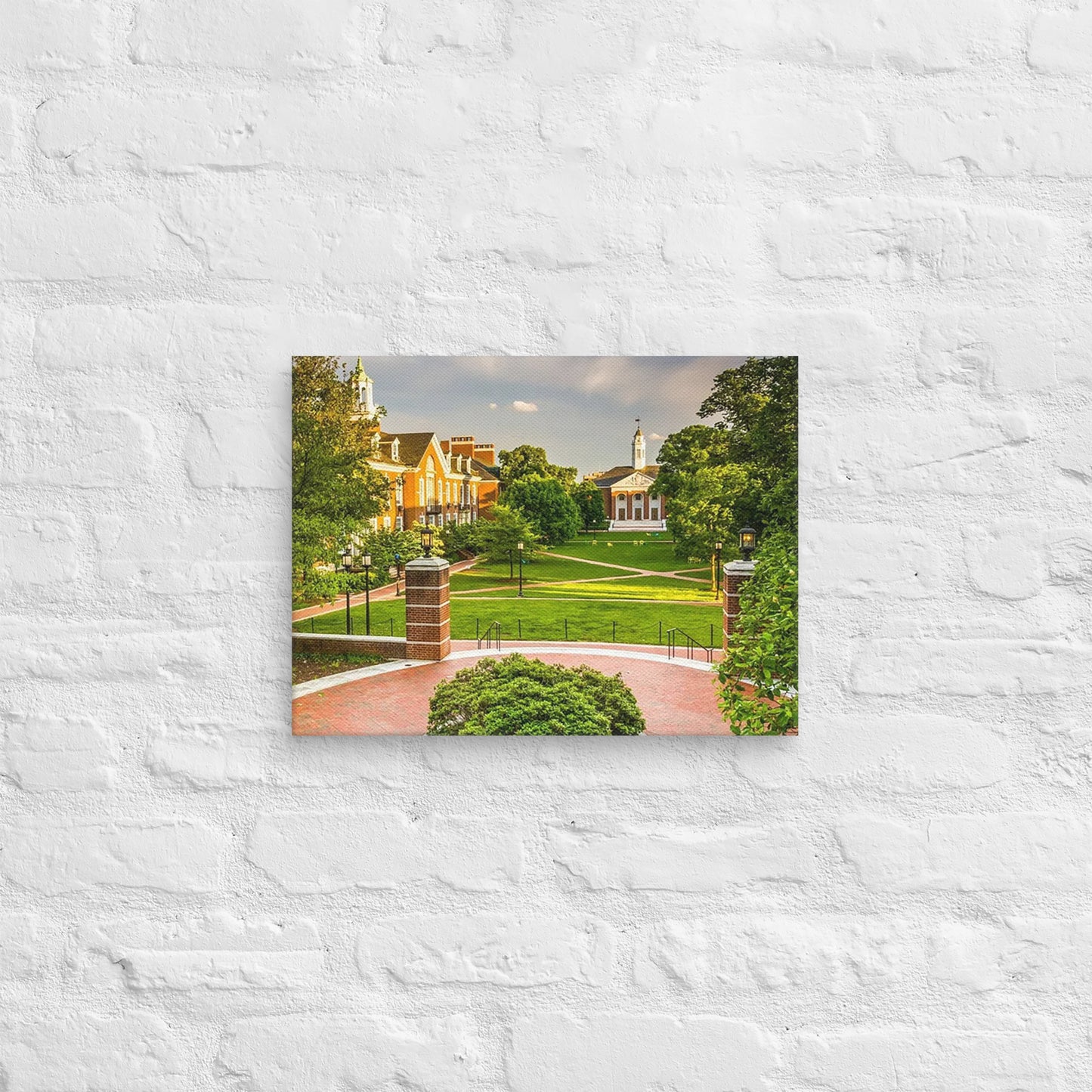 Johns Hopkins Blue Jays - Johns Hopkins University Daylight Campus Canvas