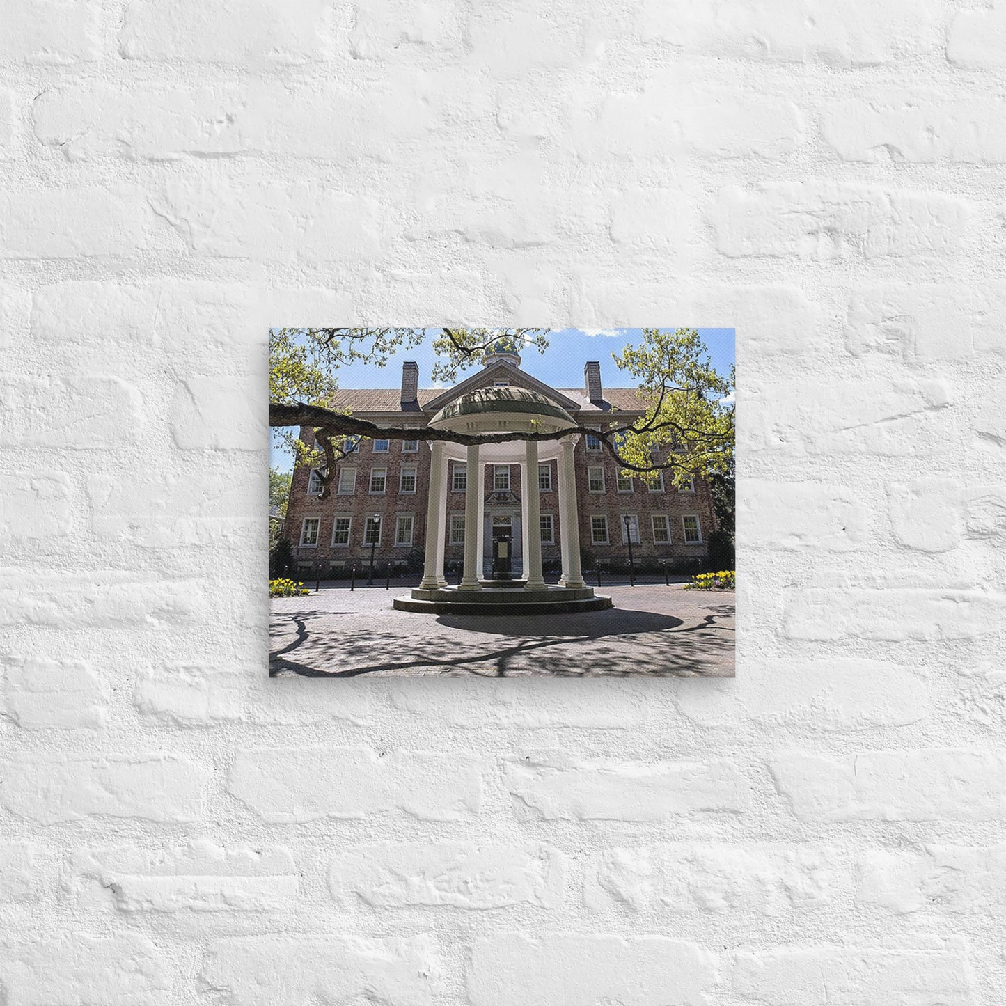 North Carolina Tar Heels - University of North Carolina Daylight Campus Canvas