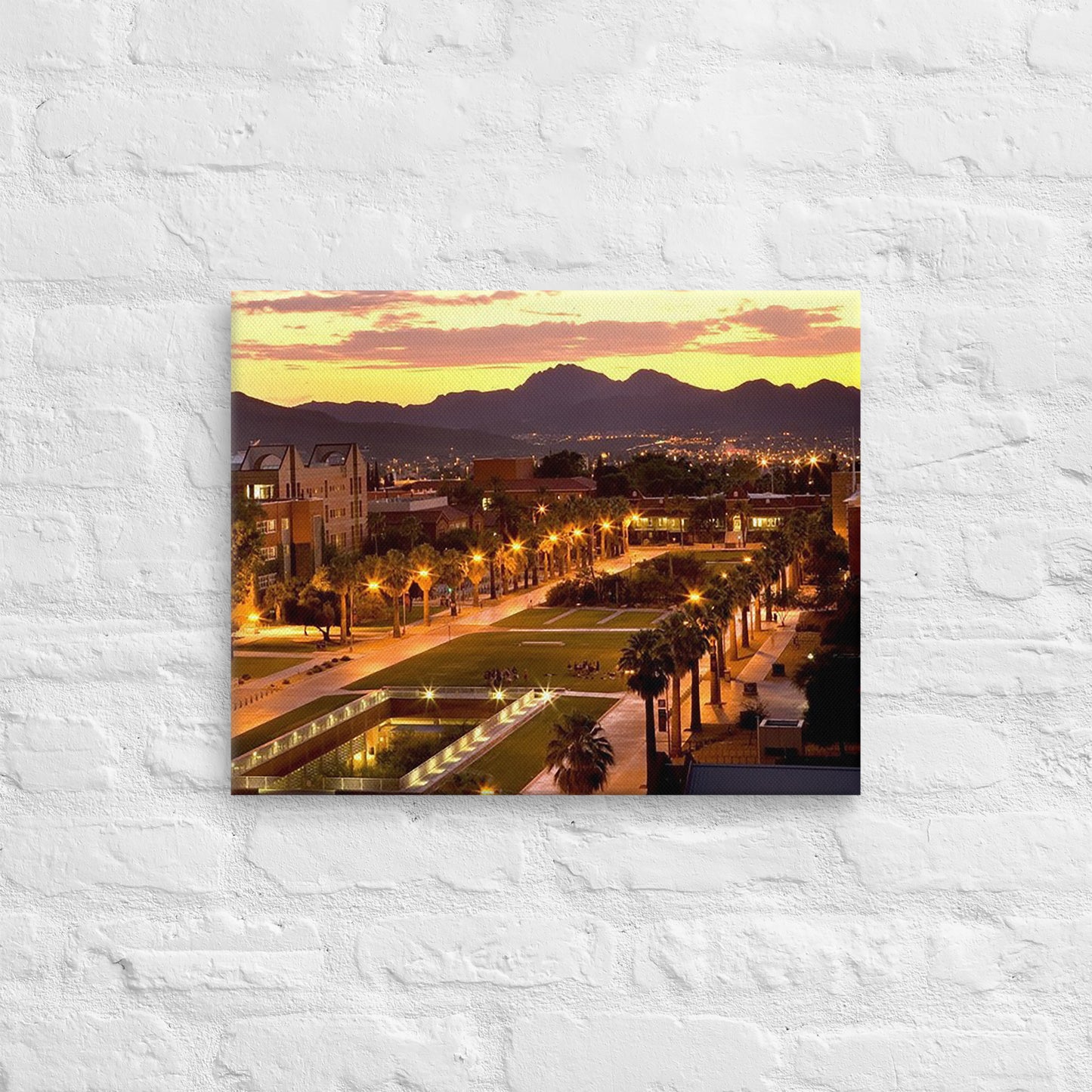 Arizona Wildcats - University of Arizona Sunset Campus Canvas