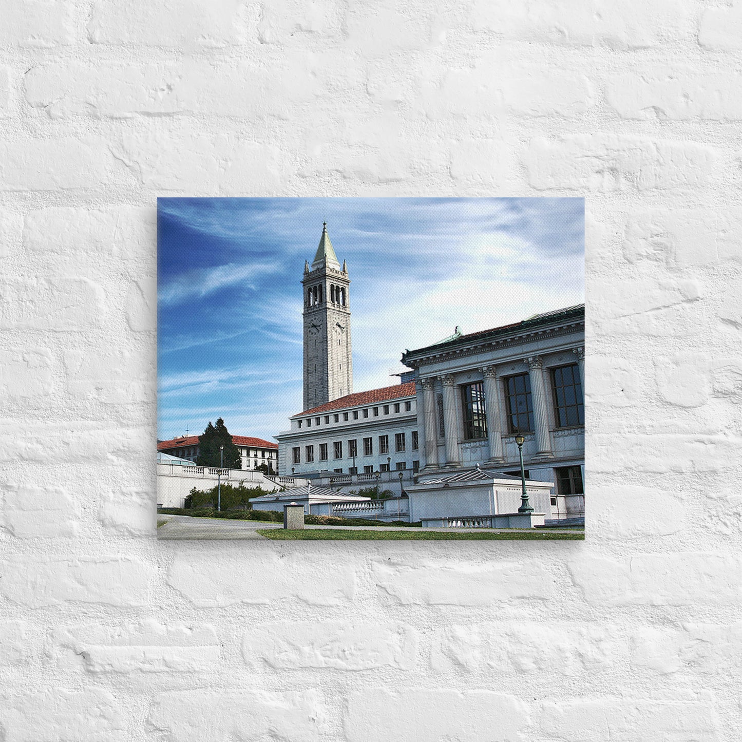 Cal Bears - UC Berkeley Daylight Campus Canvas