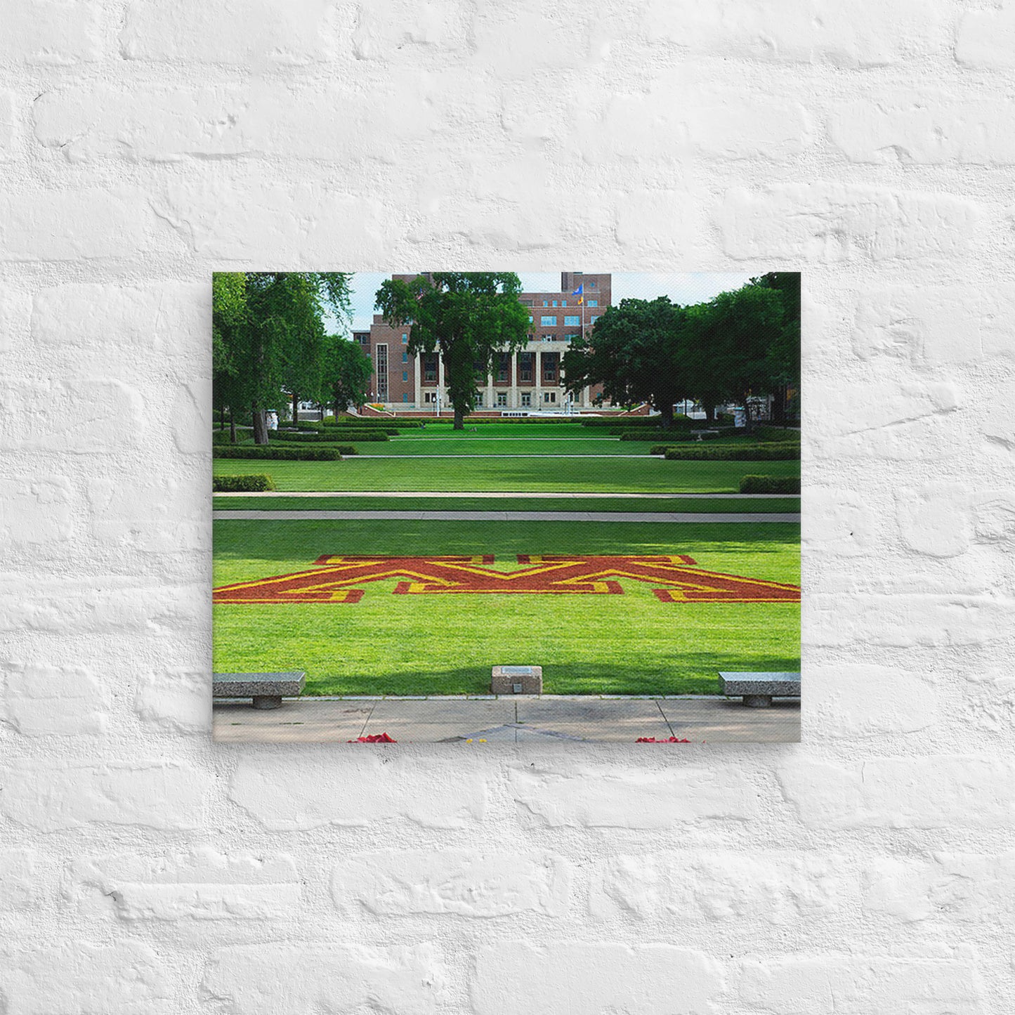 Minnesota Gophers - University of Minnesota Lawn Campus Canvas