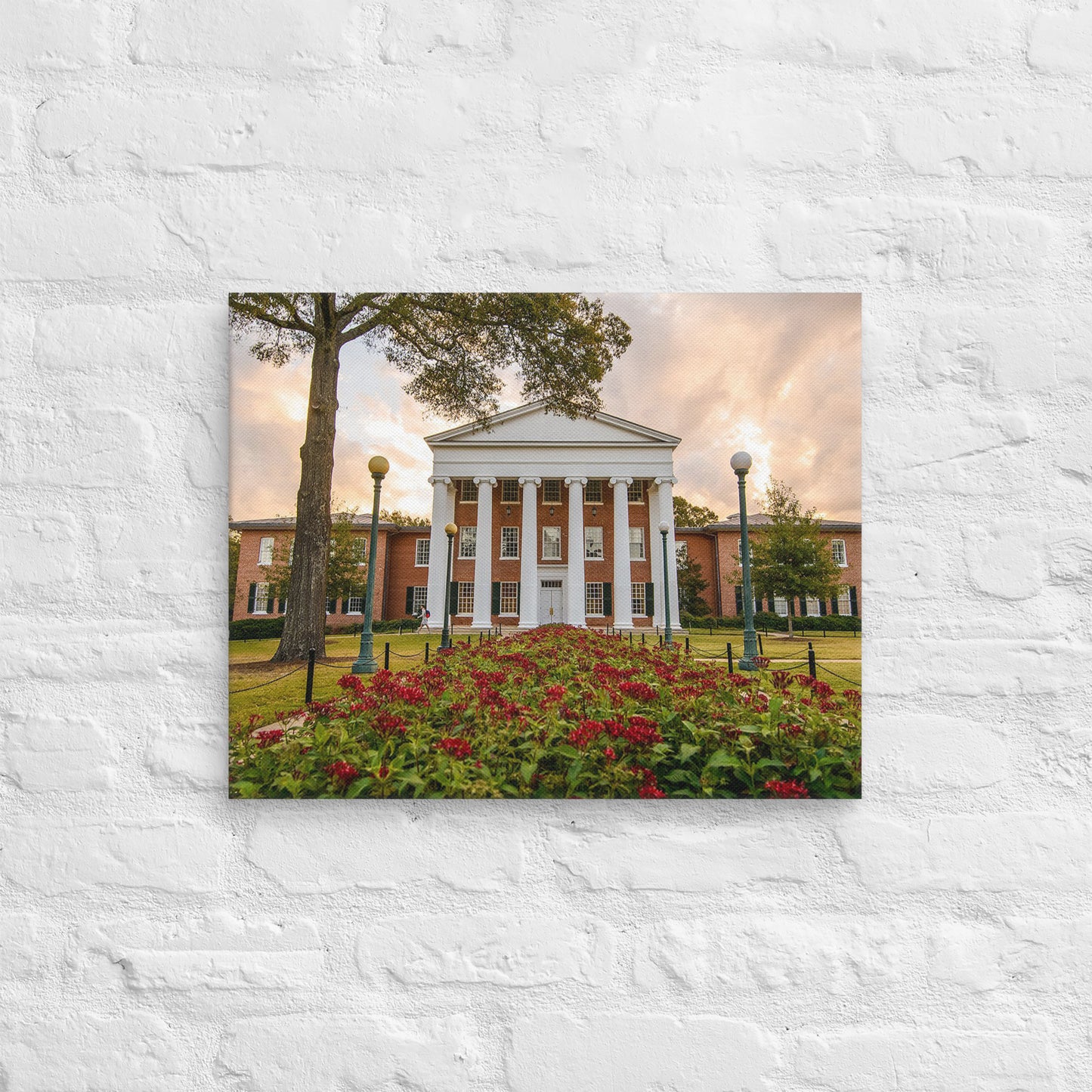 Ole Miss Rebels - University of Mississippi Sunset Campus Canvas