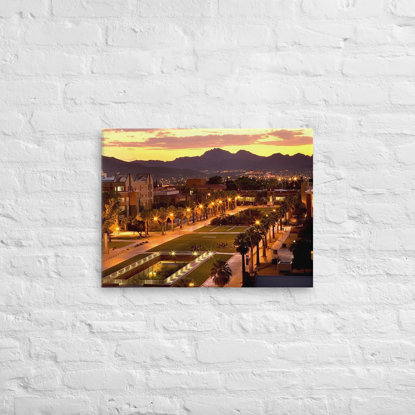 Arizona Wildcats - University of Arizona Sunset Campus Canvas