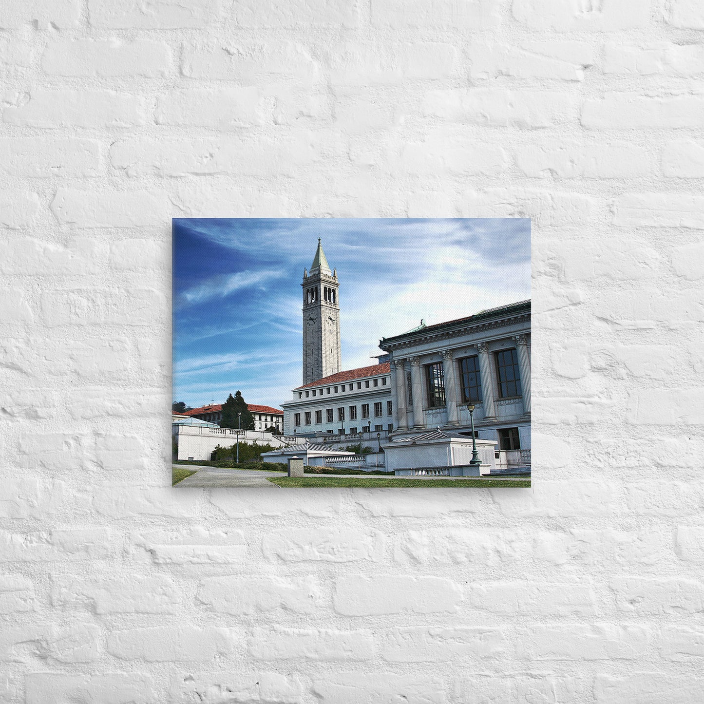 Cal Bears - UC Berkeley Daylight Campus Canvas