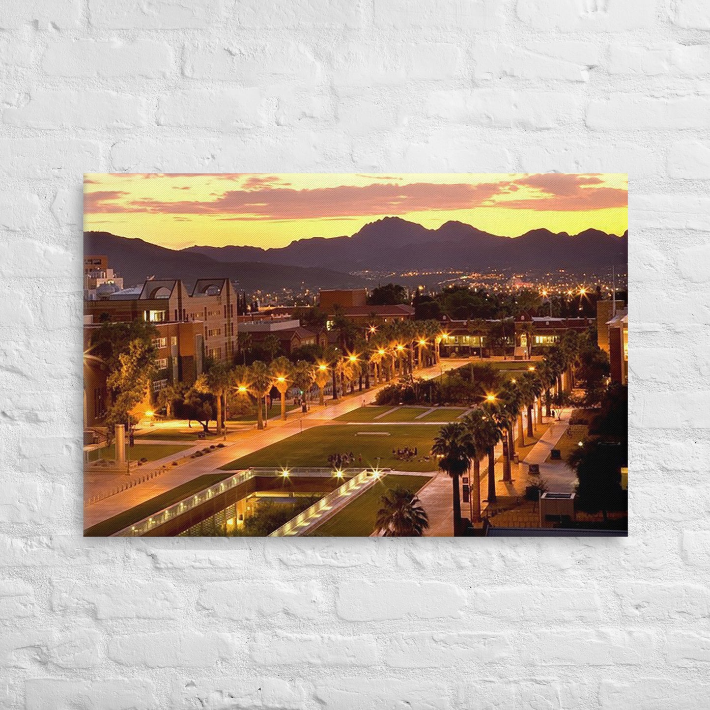 Arizona Wildcats - University of Arizona Sunset Campus Canvas