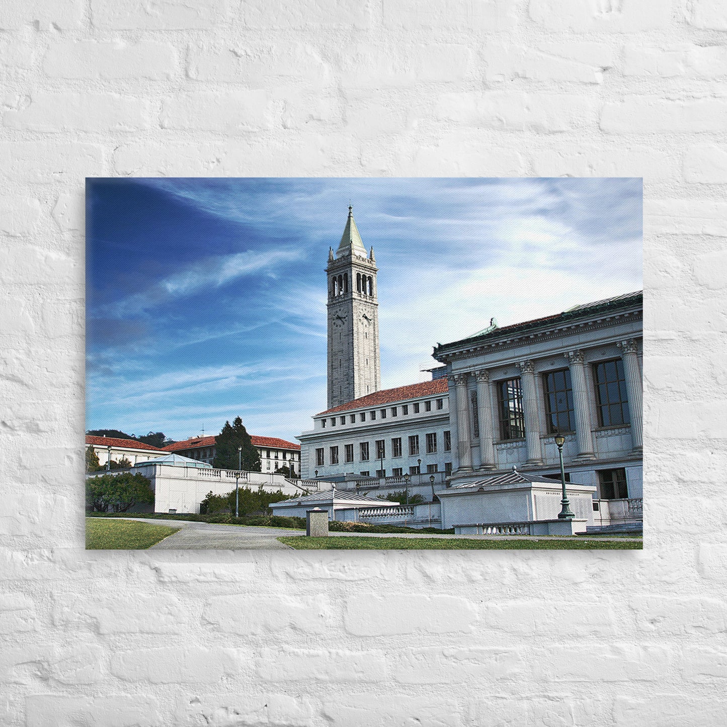 Cal Bears - UC Berkeley Daylight Campus Canvas