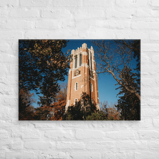 Michigan State Spartans - Michigan State University Daylight Fall Campus Canvas